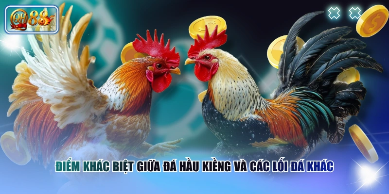 Cách Nhận Biết Gà Chọi Đá Hầu Kiềng Qua Dấu Hiệu Đặc Trưng 4 Điểm khác biệt giữa đá hầu kiềng và các lối đá khác
